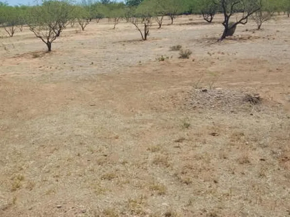 16791 S Delgado Rd, Sahuarita, AZ 85629