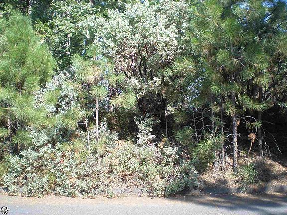 2nd image of LOT 35 Cedar Pines Ave