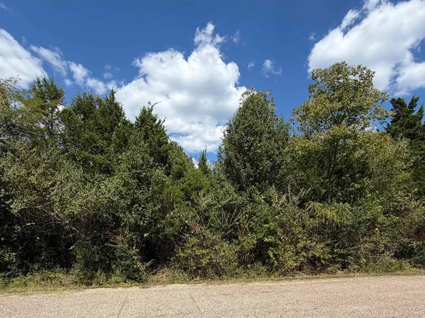 LOT 5 Terry Pl, Mountain Home, AR 72653