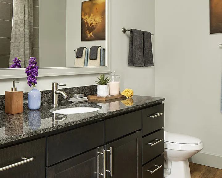 Apartment Bathroom with hardwood flooring.