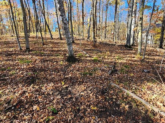 3rd image of LOT 7 SW Pickerel Lake Rd