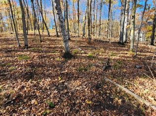 LOT 7 SW Pickerel Lake Rd, Detroit Lakes, MN 56501