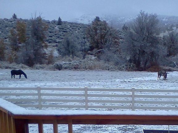 View from the back deck