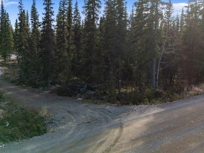 L27 Reggies Ave, Kasilof, AK, 99610