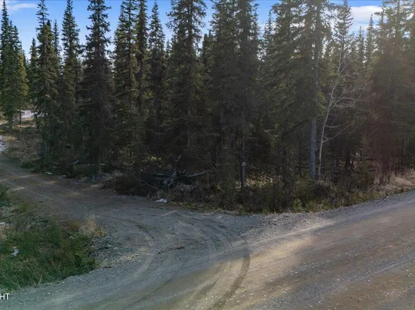 L27 Reggies Ave, Kasilof, AK 99610
