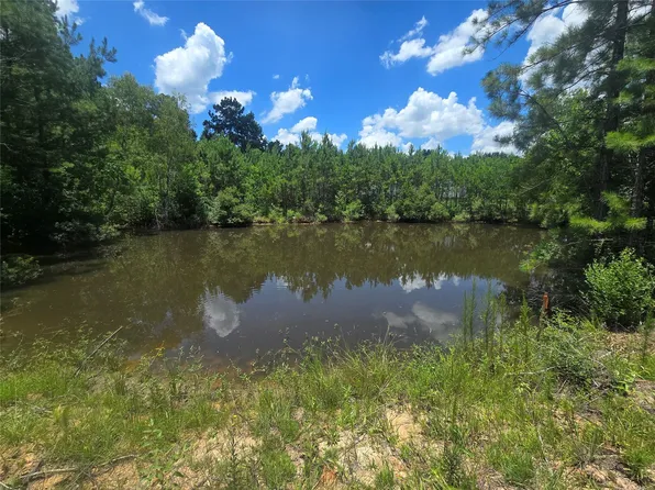 26131 Crown Ranch Blvd, Montgomery, TX 77316