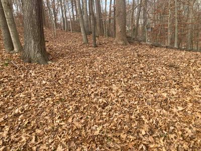 LOT 153.2 Cascade Dr, Huntington, WV, 25705