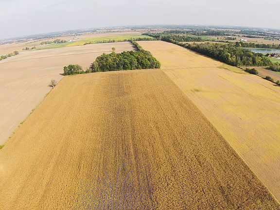 Aerial View of Property