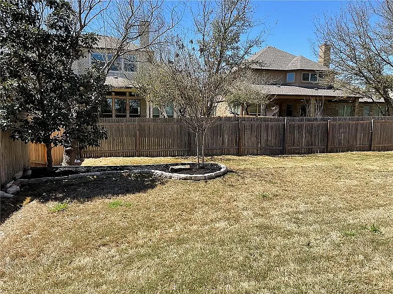back yard