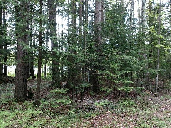 4th image of 6031 Dennis Evergreen Dr #&-26