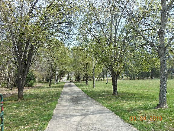 View from rd. toward house