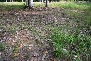 5th image of 9176 Chunchula Georgetown Rd Lot 2