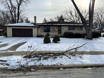 525 Bunning Dr, Downers Grove, IL, 60516