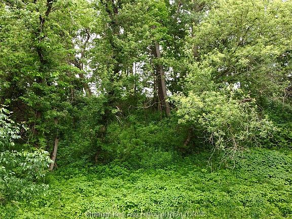 4th image of 0 River Line