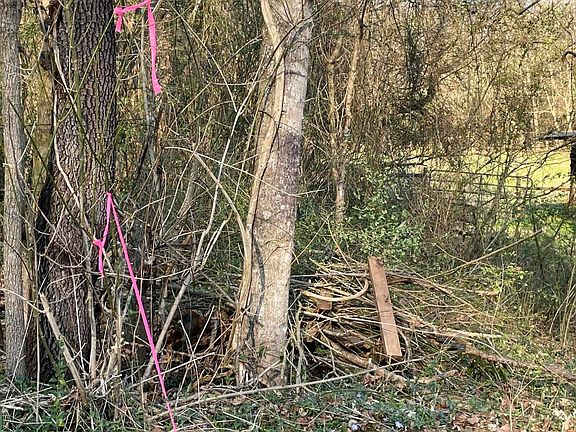 4th image of Crowder Rd