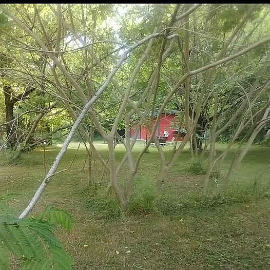 2nd image of 511 Turkey Branch Rd