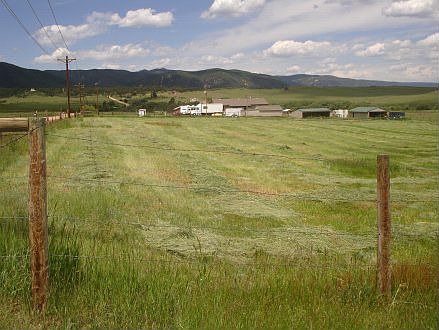 Southeast corner of pasture