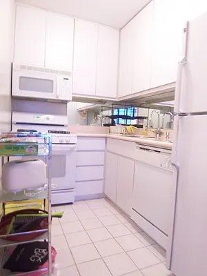 Rented by Citi Habitats | media 38