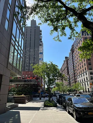 Rented by Brown Harris Stevens | media 11