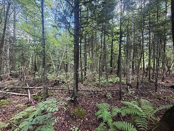5th image of 198 Green Ridge Road