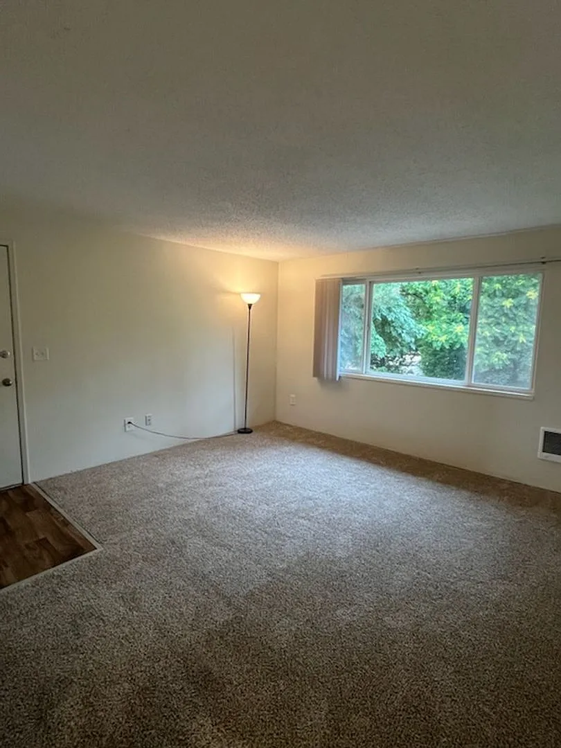376 S Locust St — Photo 3