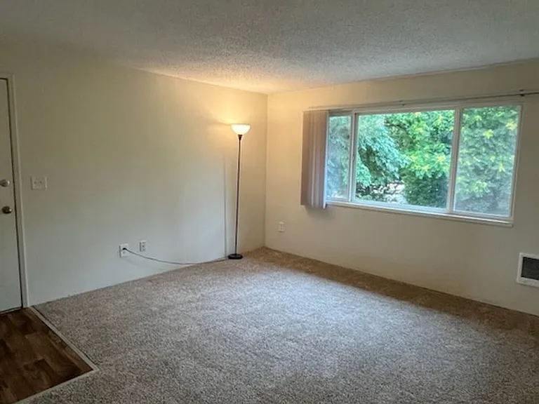 360 S Locust St #350 — Photo 3
