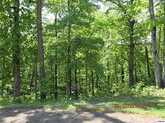 4th image of 57 Mountain Holly Way