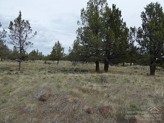 2nd image of 13226 SW Airstrip Ln