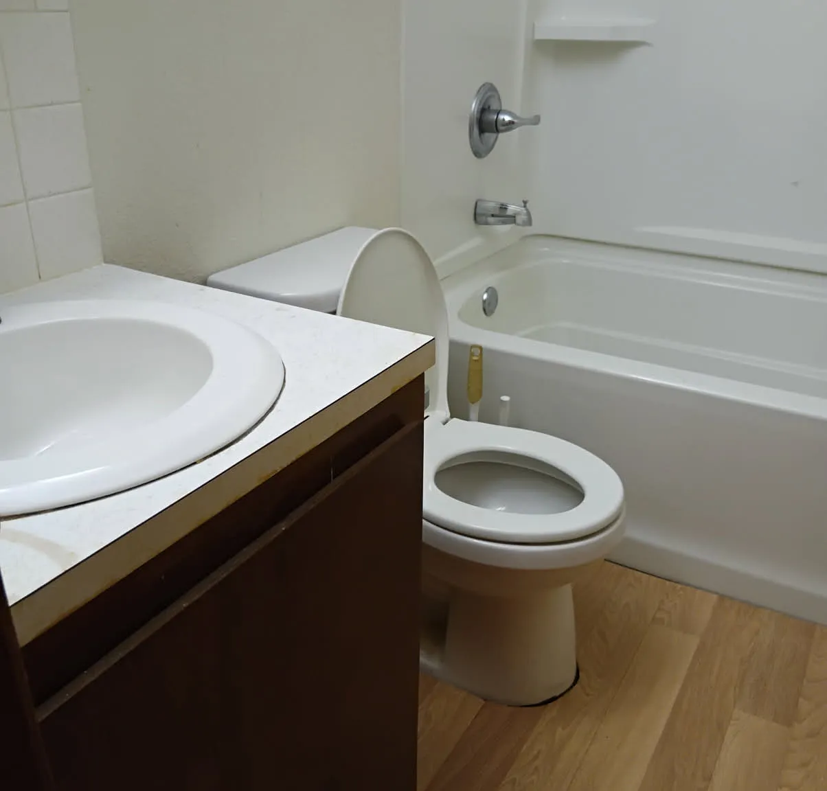 1 bed, 1000 sqft, $1,250 — Photo 3