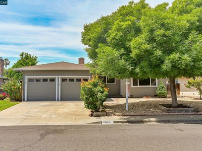 961 Chalet Dr, Concord, CA, 94518