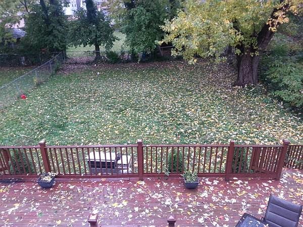 1st image of 3927 Holman Cir