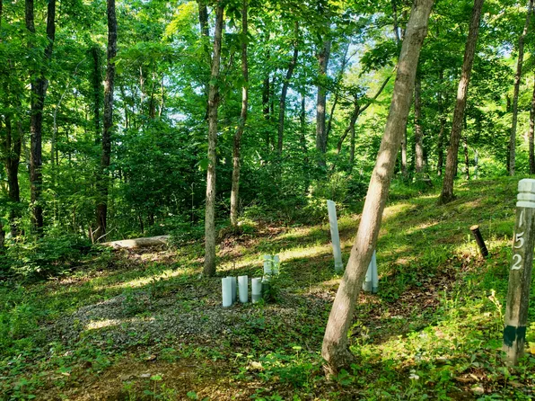 Withrow Lndg, Caldwell, WV 24925