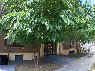 Rented by Brooklive Management/Deergrow Developments LLC