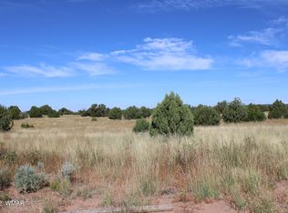 80 Ranch Of The White Mountains, Concho, AZ 85924