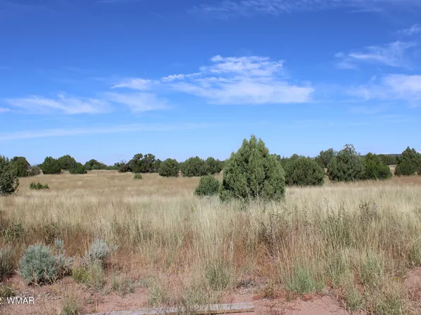 80 Ranch Of The White Mountains, Concho, AZ 85924