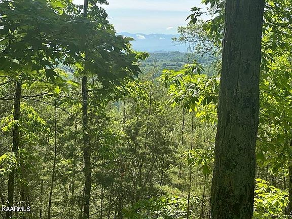 2nd image of Mountain Grove Ln