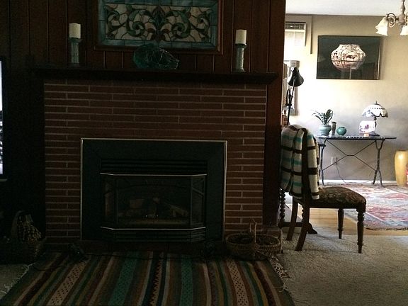 Fireplace gas insert