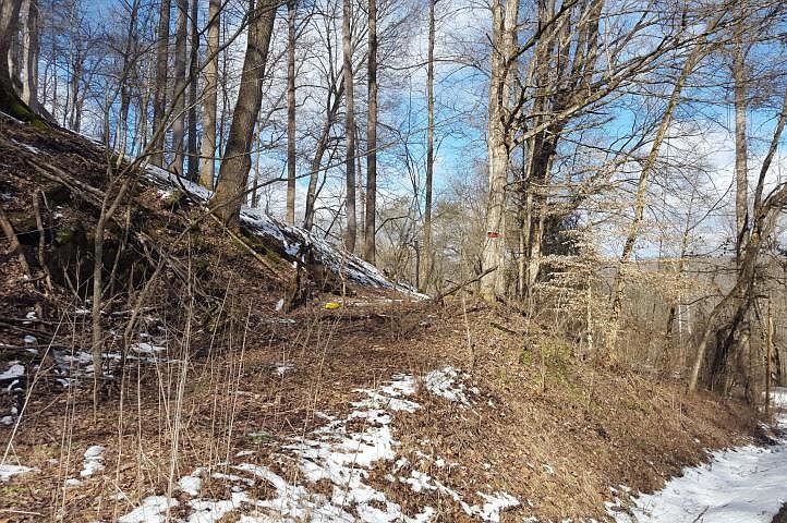 2nd image of Lone Mountain Rd