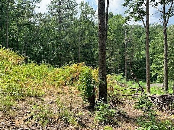 3rd image of 0 Pleasant View Ln Lot 24