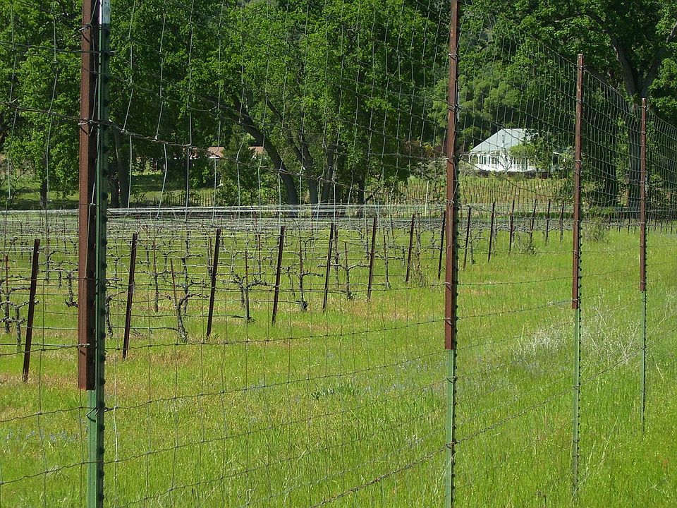 2nd image of 2521 Omo Ranch Rd