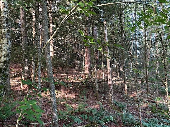4th image of 0 Harvey Bridge Rd Lot 12