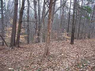 1st image of 3 Roanoke Dr