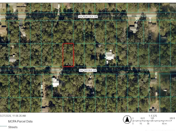 LOT 46 SW Oriole Dr, Dunnellon, FL 34431
