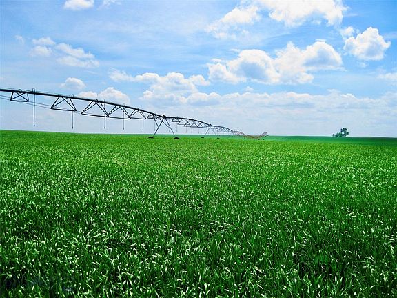 3rd image of Buena Vista Rd