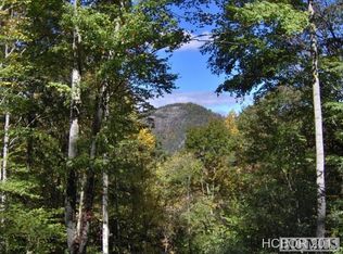 Lake Forest Dr, Tuckasegee, NC 28783