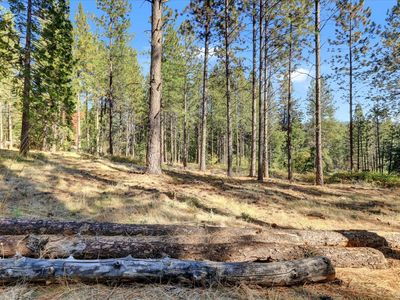 12566 Allison Ranch Rd, Grass Valley, CA, 95949