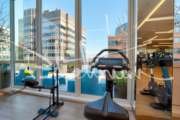 Rented by Platinum Properties | media 14