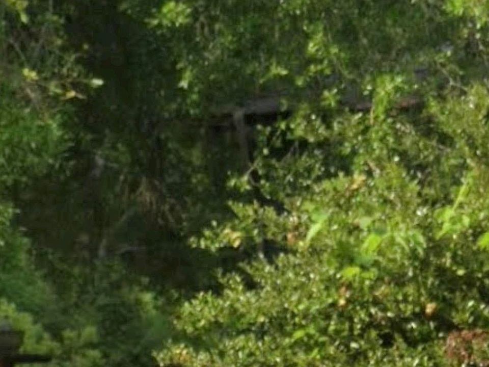 2nd image of 1004 Hurricane Rd