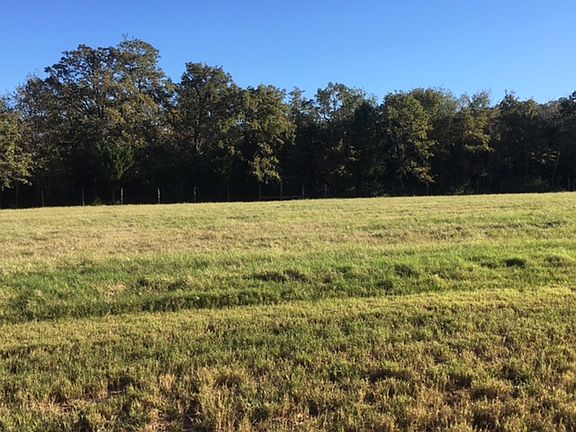 2nd image of 10834 Lonesome Dove Trl