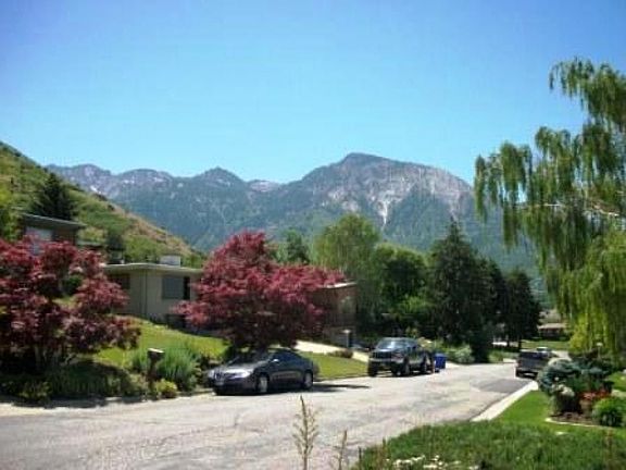 View from Front Yard